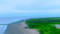 Ninh Bình chuẩn bị khai thác du lịch biển vào mùa hè năm 2020