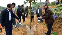 Thường trực Ban Bí thư Trần Quốc Vượng phát động Tết trồng cây tại Tuyên Quang