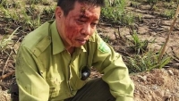 Đắk Lắk: Tạm giữ 7 lâm tặc tấn công cán bộ kiểm lâm 