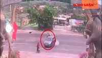 Video giao thông: Đi xe máy tốc độ cao, nam thanh niên tử vong sau cú đâm mạnh