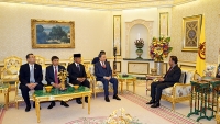 Đại tướng Tô Lâm chào xã giao Quốc vương Brunei Darussalam Haji Hassanal Bolkiah