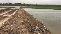 Đông Anh (Hà Nội): Phát hiện hàng chục nghìn mét khối chất thải đổ ra môi trường