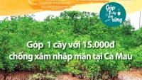 Cà Mau: Xác minh việc vận động tiền trồng rừng chống xâm nhập mặn