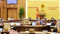 Ủy ban Thường vụ Quốc hội phê chuẩn nhân sự Hội đồng nhân dân