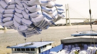 Về việc kiểm soát hạn ngạch xuất khẩu gạo: Bộ Công Thương không tiếp thu ý kiến của Bộ Tài Chính