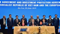 Hiệp định EVFTA tác động như thế nào tới Việt Nam