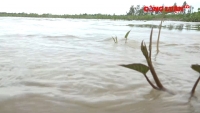Cảnh báo ngập lụt tại tỉnh Đồng Tháp