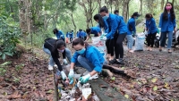 Thanh Hóa: Bảo vệ môi trường phục vụ phát triển bền vững