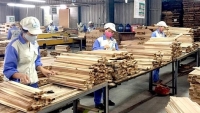 Kiểm soát chặt chẽ gian lận thương mại trong hoạt động xuất khẩu gỗ