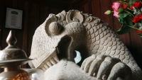 Kinh ngạc trước hình thù kỳ lạ của “ông rồng” vùng Kinh Bắc