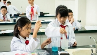 TP. Hồ Chí Minh: Yêu cầu chấm dứt thí điểm chương trình giáo dục tích hợp