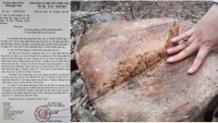 Khẩn trương điều tra, xử lý nghiêm vụ phá rừng đặc dụng thuộc Vườn quốc gia Xuân Sơn