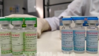 Tiêm thử nghiêm lâm sàng vắc xin COVIVAC giai đoạn 1 cho 120 tình nguyện viên
