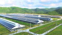 Vinamilk đầu tư hệ thống năng lượng mặt trời tại 12 trang trại bò sữa