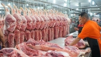 Nhập khẩu thịt lợn tăng, giá thịt trong nước giảm