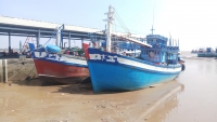 Cà Mau: Phạt 1 tỷ đồng, tịch thu tàu cá vi phạm vùng biển nước ngoài