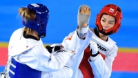 Kỷ lục số lượng VĐV taekwondo tham dự Cúp Đại sứ Hàn Quốc