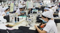 Năng suất lao động của Việt Nam tụt hậu 10 năm so với Thái Lan