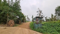 Tình trạng lấn chiếm đất nông nghiệp ven sông Hồng tái phát: Thủ tướng chỉ đạo xử lý nghiêm