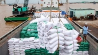 Xuất khẩu gạo giảm mạnh trong quý I