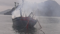 Nổ bình gas trên tàu đánh bắt hải sản, 3 người bị bỏng nặng