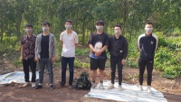 Bình Phước: Phát hiện 6 người Trung Quốc nhập cảnh trái phép vào Việt Nam