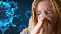 Phân biệt triệu chứng mắc Covid-19 với cảm cúm, cảm lạnh thông thường