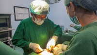 Quảng Nam: Phẫu thuật loại bỏ hơn 200 viên sỏi trong túi mật của nữ bệnh nhân