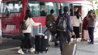 Cần Thơ: Tạm dừng vận tải, vận chuyển hành khách đến Trà Vinh