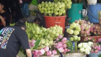 TP.HCM: Chợ hoa Đầm Sen tạm dừng hoạt động để phòng, chống dịch Covid-19