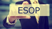 Thêm nhiều doanh nghiệp muốn phát hành cổ phiếu ESOP số lượng lớn