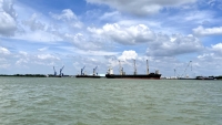 TP. HCM: Hàng loạt tàu hàng xuất khẩu thả neo nằm chờ… công nhân!