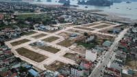 Vi phạm về quản lý, sử dụng đất đai: Phó Giám đốc Sở Tài nguyên và Môi trường Quảng Ninh bị kỷ luật