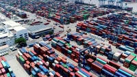 Cục Hải quan TP. HCM đề xuất giải pháp giải quyết hàng tồn đọng tại Cảng Cát Lái