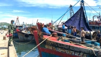 Quảng Ngãi: Hơn 300 ngư dân đòi tự cách ly y tế ngay tại tàu cá