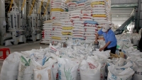 Xuất hơn 4000 tấn gạo hỗ trợ người dân gặp khó khăn do dịch COVID-19