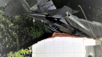 Đồng Nai: Cây cối ngã đổ, nhà cửa tốc mái sau cơn mưa đá