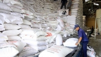 TP. HCM đề nghị cấp hơn 56,5 ngàn tấn gạo hỗ trợ đợt 2