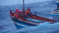 Quảng Nam: Xuyên đêm cứu 13 người trên tàu kéo sà lan gặp sự cố khi vào đảo Lý Sơn trú bão