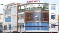 Angimex (AGM) bị HoSE nhắc nhở về việc tạm hoãn trả cổ tức 2020