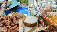 Nông sản Việt Nam đứng top đầu nhập nhiều nhất vào Thái Lan