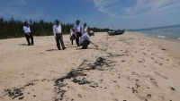 Quảng Ngãi: Phát hiện 2 km dầu vón cục dọc bãi biển