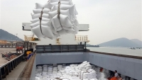 Triển khai thực hiện giải pháp điều hành xuất khẩu gạo