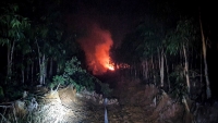 Kiên Giang: Huy động hơn 200 người chữa cháy rừng trong đêm