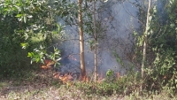5ha rừng keo ngay sát sân bay Đà Nẵng bốc cháy dữ dội