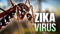 Phân biệt bệnh do virus Zika và sốt xuất huyết thế nào
