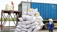 Gạo thơm Việt Nam sẽ là từ khoá “đắt giá” cho ngành xuất khẩu 2021