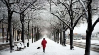 Quán Thanh xuân tháng 12: Đường xa tuyết trắng