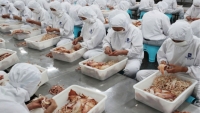 New Zealand điều tra nguyên nhân các lô hàng hải sản bị Trung Quốc đình chỉ nhập khẩu