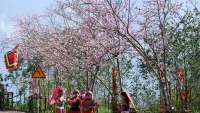 Mùa hoa đào nở, du khách hành hương về Tây Bắc dự Hội xuân mở cổng trời Fansipan